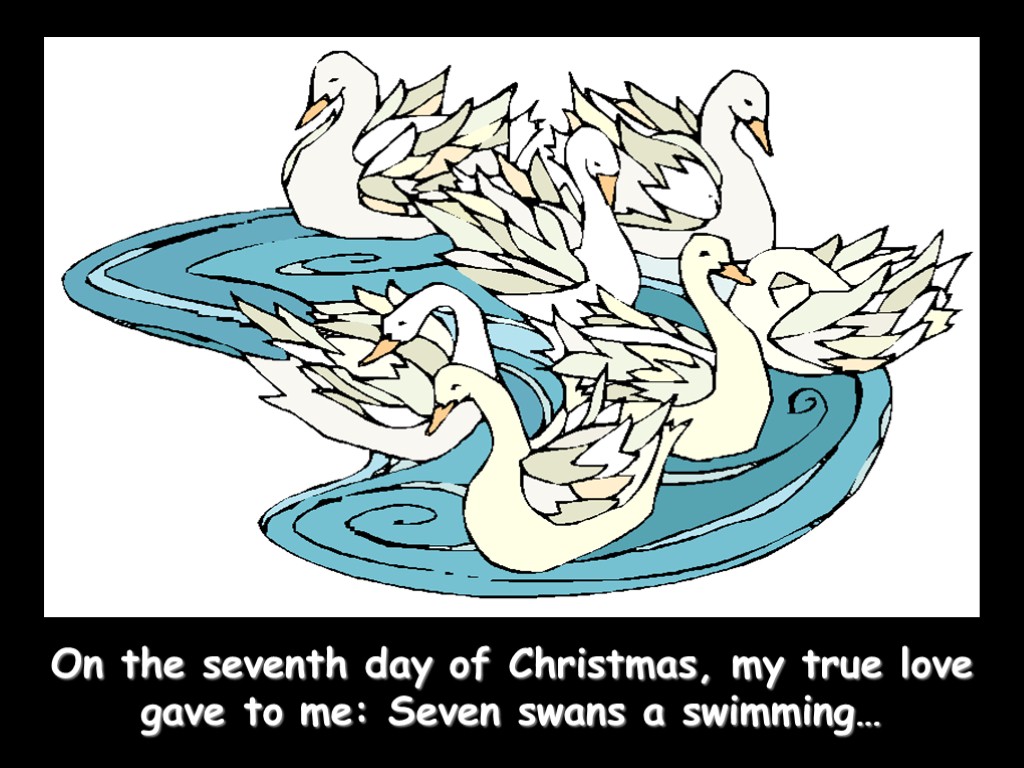 On the seventh day of Christmas, my true love gave to me: Seven swans